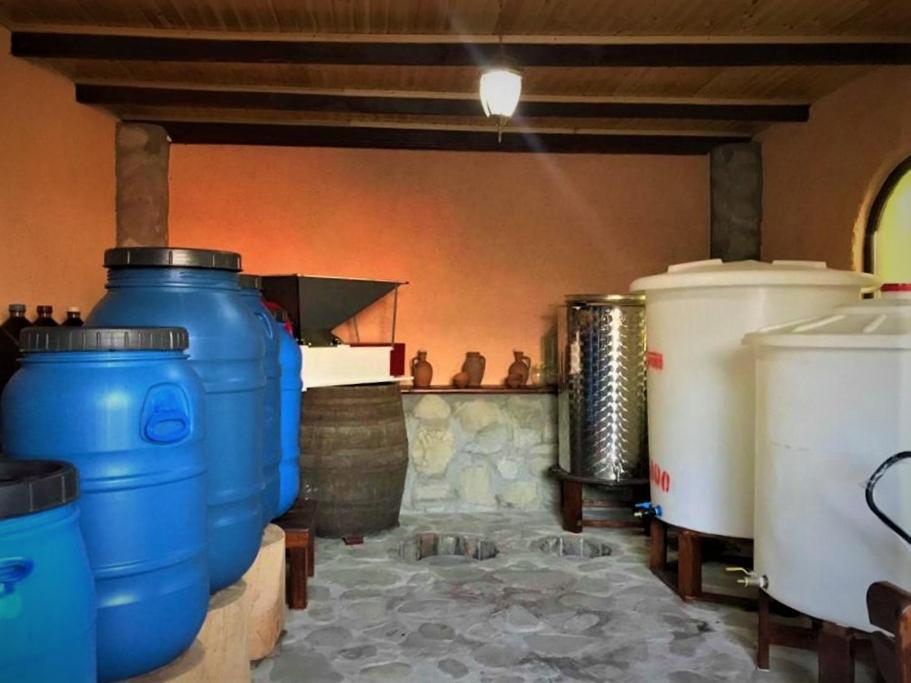 Guesthouse Lilia &Wine Celler Telavi Luaran gambar
